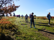 171001-1016-Marche-du-coeur-2017